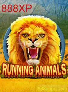 Descubra RunningAnimals: Aventura Virtual e Desafios Incríveis